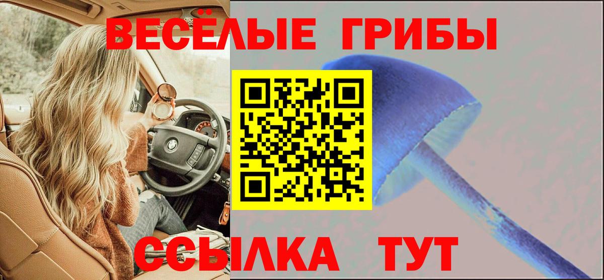 Людиново  Псилоцибиновые грибы Magic Shrooms  Вход с VPN 